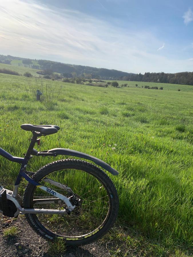 Ferienhaus Eifelstuben Mit Charme - Bauernstube Vulkaneifel - Naehe See Und Burgruine Ulmen Esterno foto