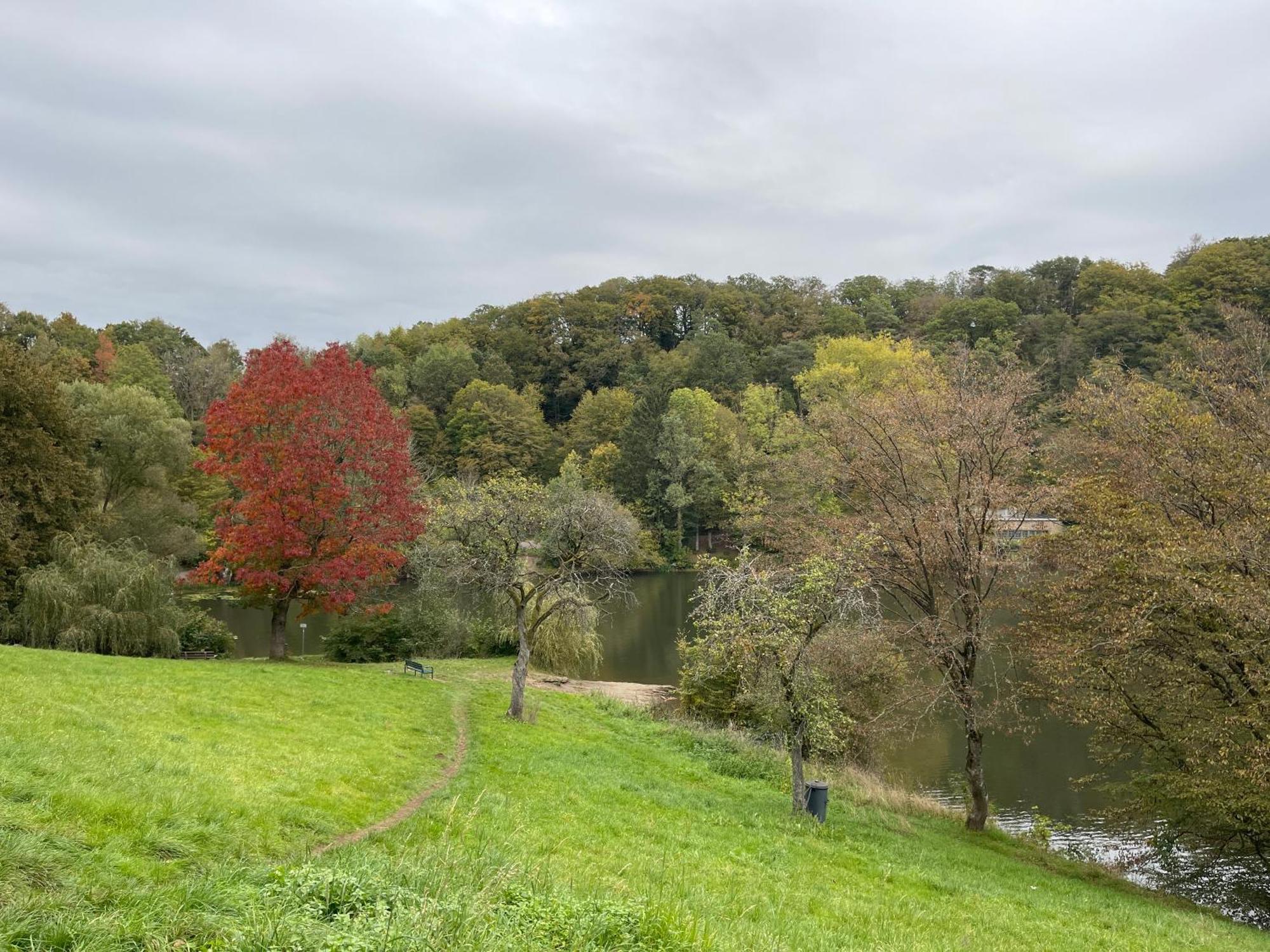 Ferienhaus Eifelstuben Mit Charme - Bauernstube Vulkaneifel - Naehe See Und Burgruine Ulmen Esterno foto